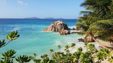 Foto de Seychelles: um paraíso tropical na África