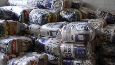 Foto de Itaperuna recebeu mais 300 cestas básicas do Governo Estadual