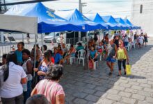 Foto de Prefeitura aldeense atende mais de 500 pacientes pelo projeto “Saúde Móvel”