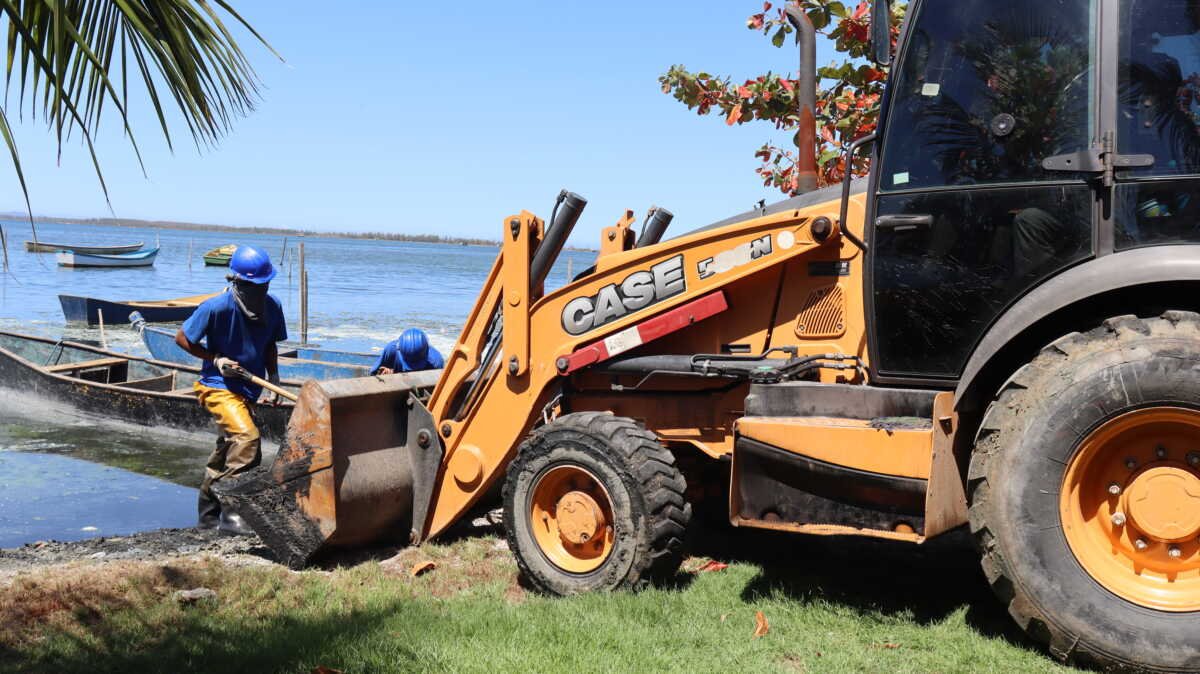 Ação de limpeza já removeu mais de 400 toneladas da orla da Lagoa de Araruama