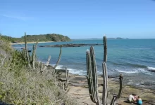 Prefeitura de Búzios realiza ação de limpeza no costão da trilha da Praia da Tartaruga nesta terça-feira