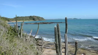 Prefeitura de Búzios realiza ação de limpeza no costão da trilha da Praia da Tartaruga nesta terça-feira