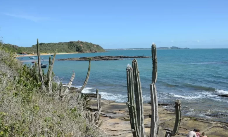 Prefeitura de Búzios realiza ação de limpeza no costão da trilha da Praia da Tartaruga nesta terça-feira