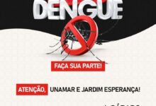 Secretaria de Saúde realiza Dia D de enfrentamento à dengue no próximo sábado (22)