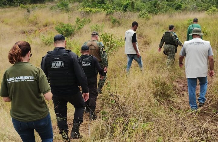 Ação conjunta impede desmatamento irregular em Campos Novos