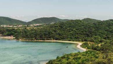 Prefeitura de Cabo Frio promove abraço à Ilha do Japonês neste sábado (29)