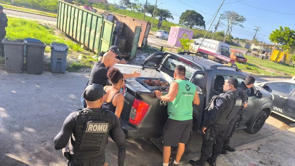 Cerca de 100 kg de fios de cobre furtados são apreendidos em operação na Reserva do Peró